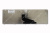 Asus A53 (K53 K73 X53) back Asus A53 (K53 K73 X53) back